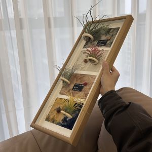 Decorative Pineapple Air Plant Artwork Magnetic Office Living Room Sofa Background Wall Decorations Creative Gifts for Home