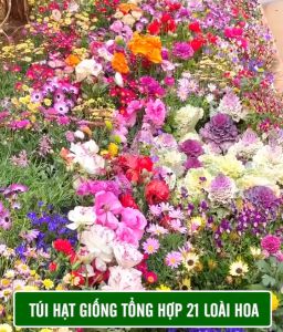 Hạt Giống Hoa Tổng Hợp 21 Loại hoa siêu đẹp dễ trồng tỉ lệ nảy mầm 98% hoa nở liên tục 4 mùa (Gói 500 hạt) - Lazada