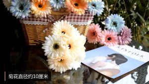 Hoa Đồng Tiền Giả Giống Thật Vải Lụa Cao Cấp Nhiều Màu 23Cm Trang Trí Phòng Để Bàn Phụ Kiện Decor Nhà Cửa Chụp Ảnh