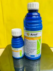 Fungisida sistemik ANVIL 50sc dari syngenta. Joss tenann!!