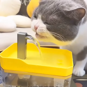 น้ำพุสัตว์เลี้ยง 1.5ลิตร น้ำพุแมว ไส้กรองน้ำพุแมว ระบบหมุนเวียนน้ำอัตโนมัติสำหรับสัตว์เลี้ยง พร้อมอ่างน้ำขนาด-B58