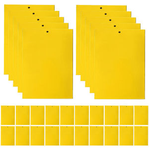 30/50/100 pcs กับดักเหนียวสองด้าน 8x6/8x4 นิ้วรูดรูดรัต