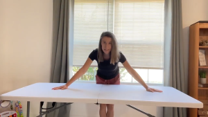 Heavy Duty 4FT 6FT Folding Table Outdoor Steel Frame Portable Picnic Desk for 8 People Camping & Events