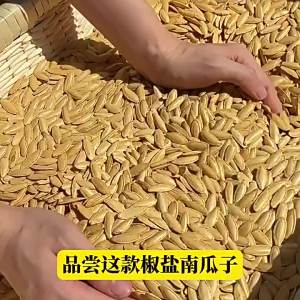 Authentic Xinjiang Pumpkin Seeds Unflavored 500g