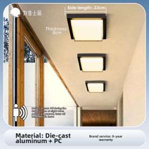 VINCAN | Waterproof Outdoor Ceiling Light for Sunroom
