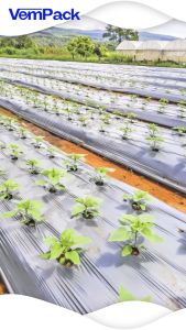 Plastik Mulsa Pertanian Merk CINCIN Rol Kecil 1/2 Rol