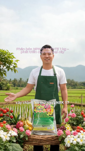 Phân Bón NPK 17-17-17 Cao Cấp (Gói 1kg) - Dinh Dưỡng Cân Đối Kích Rễ Mạnh Xanh Dày Lá Thúc Hoa To Trái Lớn.