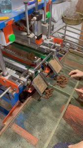 Nụ Quế xông nhà Hộp 50 Nụ Trầm Quế Không Hoá Chất Dùng Thờ Cúng Xông Nhà Đón Tài Lộc tẩy uế