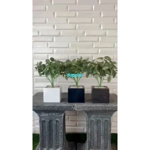 Tanaman Hias Pohon Plastik Fittonia Hijau Mini Pot Kotak Kayu Variasi Warna Dekorasi Meja Pajangan Rak Rumah Aesthetic