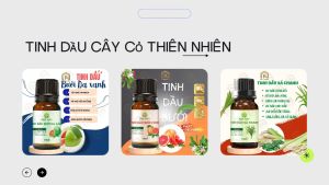 (HCM)Tinh Dầu Trà Trắng 10ml Tinh Dầu Thiên Nhiên Nguyên Chất Tạo Hương Thơm Kiểm Soát Mùi - Rô Organic