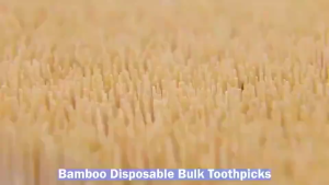 10box/pack BAMBOO TOOTHPICK WITH CASE Household disposable flossing double head portable toothpick