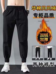 Quần Dài Nam Ống Đứng Dày Lót Lông Cừu Rộng Rãi Quần Thể Thao Ôm Vừa Vặn Phong Cách Hàn Quốc Thời Trang Mùa Thu Đông