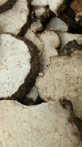 茯苓 250g Fu Ling 卷茯苓 野生茯神 平片 茯苓片 健脾 中药材  Grade 4A Poria Fu Shen 4A Chinese Herb