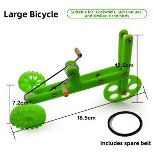 Hadassah | Training Entertainment Parrot Bike
