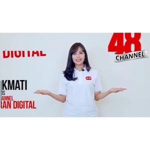 Antena TV Digital Indoor Outdoor Antenna Booster DVBT2 4K PX DA-6000