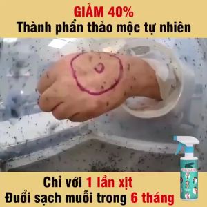 Chai Xịt Đuổi Côn Trùng Gián Muỗi Vim Nano 500ml Mùi Hương Dễ Chịu Xuất Xứ Thảo Mộc a- Xua Đuổi Muỗi Gián Côn Trùng Tặng Kèm Vòi Xịt