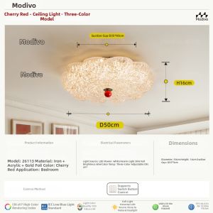 FANCY LAMP CLUB | Eye-Protection Creative Colorful Bedroom Ceiling Light