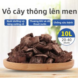 Mùn Cưa Dành Riêng Cho Lan Từ Vỏ Thông Fermented Pinus Radiata