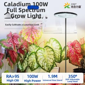 GUANGHELILIANG | Full Spectrum Sunlike Light Plant Growth Lamp