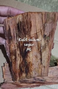 kulit salam segar 1 kg