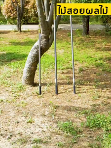 【20ปีก็ไม่พัง！】ตะกร้อสอยผลไม้ ไม้สอยมะม่วง (ด้ามยืดหดได้ 1.9/2.5/4/6/7/10M) เหล็ก sk5 นำเข้า ครบชุดที่จะช่วยคุณลูกค้าแก้ปัญหาการเก็บผลไม้บนที่สูงค่ะ ที่สอยผลไม้ ที่สอยผลไม้ หัวตะกร้อผ้าสำหรับสอยเก็บผลไม้