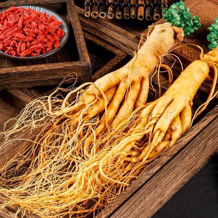 Authentic fresh ginseng from Changbai Mountain in Northeast China ...