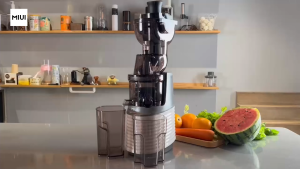 MIUI Slow Juicer Electric Fruit Juicer 250W Fruit Extractor Blender Slow Cold Press Juicer