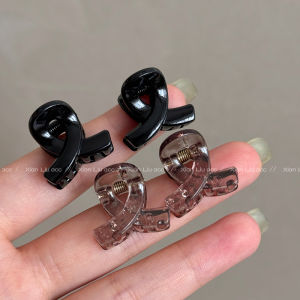 Princess Style Half Updo Small Hair Clip: Shark Clamp Back of Head & Bangs Clip