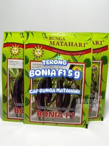 Benih Terong Ungu Bonia F1 5 gram Cap Bunga Matahari dataran menengah tinggi bibit biji sayuran sayur bimbi hydroponik hidroponik