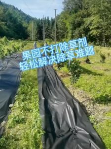 ECOR 100/200M Weed Control Barrier Fabric Weeding Cloth Black Degradable Film Weed Block Gardening Mat