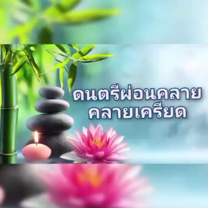 แฟลชไดร์ฟ USB เพลงบรรเลง เปียโน เสียงน้ำไหลธรรมชาติ ช่วยผ่อนคลาย จิตใจผ่องใส อารมณ์ดี