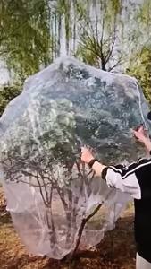 Garden Insect Bird Proof Net Durable Mesh Cover Protect Plants Fruits Vegetables from Birds Bugs and Pest Damage