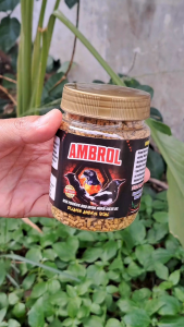 "5PCS AMBROL VOER COKLAT 145GR" PERONTOK BULU BURUNG DIJAMIN AMBROL