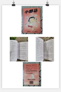 二手儿童小说「小野马」老师家长强力推荐特地适合小学三年级至初中一二学生阅读、