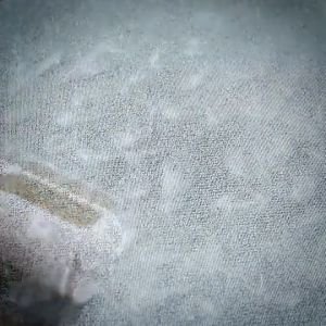 Beautyholics Pet Hair Be Gone: Our Cleaning Brush Removes Hair from Clothes and Furniture!