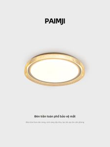 PAIMIJI | Full Spectrum Eye-Protection Ceiling Light Modern Simple