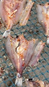 Khô Cá Đù Chàm 1kg Bỏ Đầu Xẻ Bụng Thịt Cá Tẩm Vị Không Cay Vừa Ăn Ngon - ĐẶC SẢN MINH TRIẾT