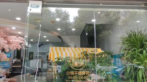 WIN PRO 2023 Newest Smart Robot Window Glass Cleaner Frameless  Double Sides Auto Spray Water Remote Control/APP High-suction 2500pa Anti-dropping Window Washing Robot