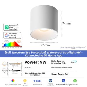 DENGFU | Waterproof Fog-Resistant Downlight IP65