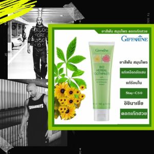 ยาสีฟัน กิฟฟารีน ของแท้ แก้ร้อนใน ยาสีฟันสมุนไพร ยาสีฟันกิฟฟารีน Bio Herbal Toothpaste Giffarine ผสม ดอกเก็กฮวย อิชินาเชีย