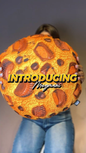 Cookies Pillow  - Mugmania - Cookies Food Sweet Nap 3D Pillow (Available in 3 sizes)