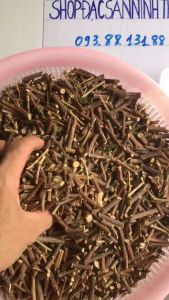 1 KÝ Cây Lạc Tiên (cây chùm bao cây nhãn lồng) xứ Ninh Thuận sấy khô giúp an thần ngủ ngon giấc nhiều người dùng rất hài lòng An Thần Chữa Stress Mất Ngủ Thảo Dược Tự Nhiên Giúp Ngủ Ngon - Lazada