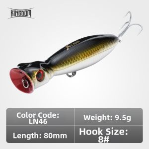 KINGDOM | Topwater Floating Long Casting Lure Bait
