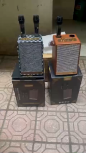 Loa bluetooth karaoke Qixi SK-2050 tặng 2 micro không dây âm thanh sống động bass mạnh