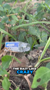 HERRO Liquid Ant Baits Station Anti Ant Killer Bait Ubat Semut Berkesan 蚂蚁诱饵 Racun Semut Berkesa Result Same as Terro