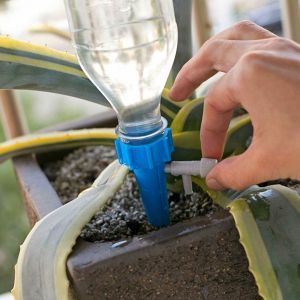 E.B. Green Plant Waterer Self Watering Spikes System-Vacation Automatic Irrigation Watering