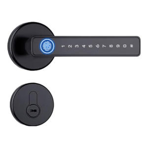 FALEISTON | Multi-functional Smart Electronic Lock for Home