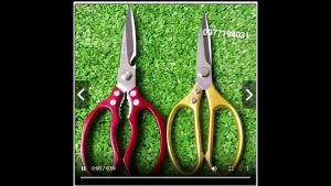 Kéo cắt gà cao cấp sản xuất tại Nhật Bản bằng thép đúc không gỉ- Kéo đa chức năng