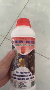 TKS-PROTI: MEN VI SINH Ủ DỊCH CÁ BÁNH DẦU BÃ ĐẬU - Khử Mùi Hôi - Chai 1 Lít - men xúc tác ủ phân bón