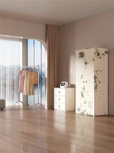 [China Plug Adapter Needed] Hisense | Dehumidifier for Home Bedroom and Basement